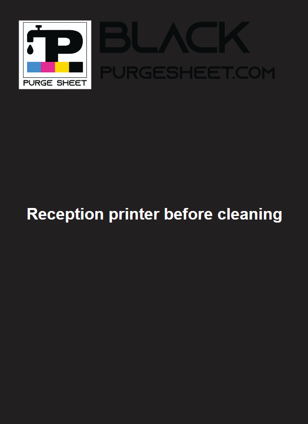 purgesheet.com_-1__reception-printer-before-cleaning.pdf.png